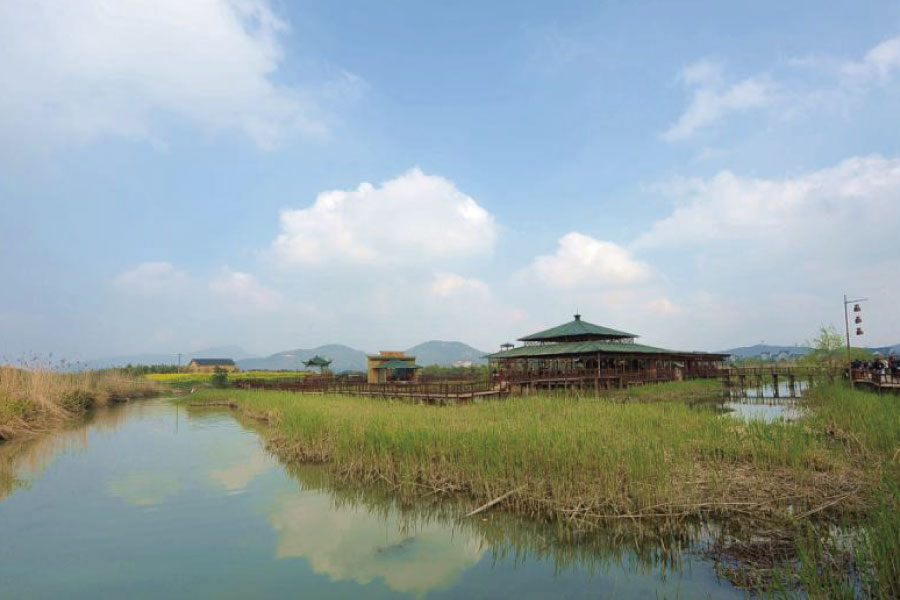 内部资料精准10码