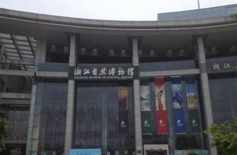 内部资料精准10码