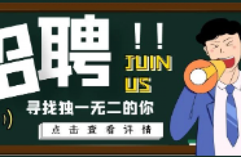 内部资料精准10码