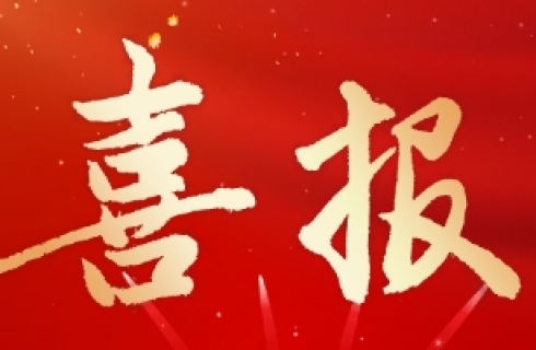 内部资料精准10码