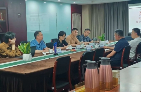 内部资料精准10码